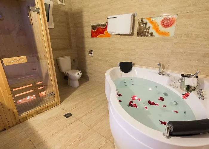 酒店 亚历山德斯酒店