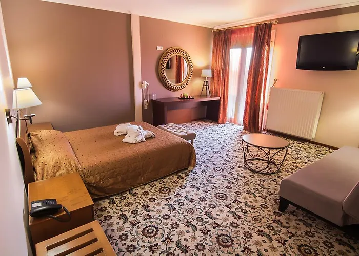 酒店 亚历山德斯酒店 3*