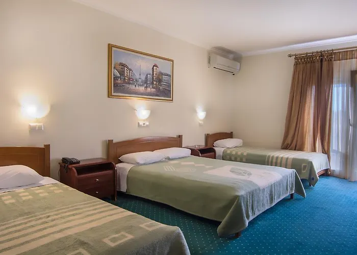 酒店 亚历山德斯酒店